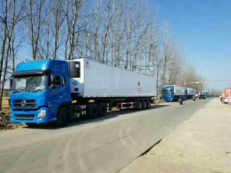 mg不朽情缘官网苏丹半挂冷藏车项目